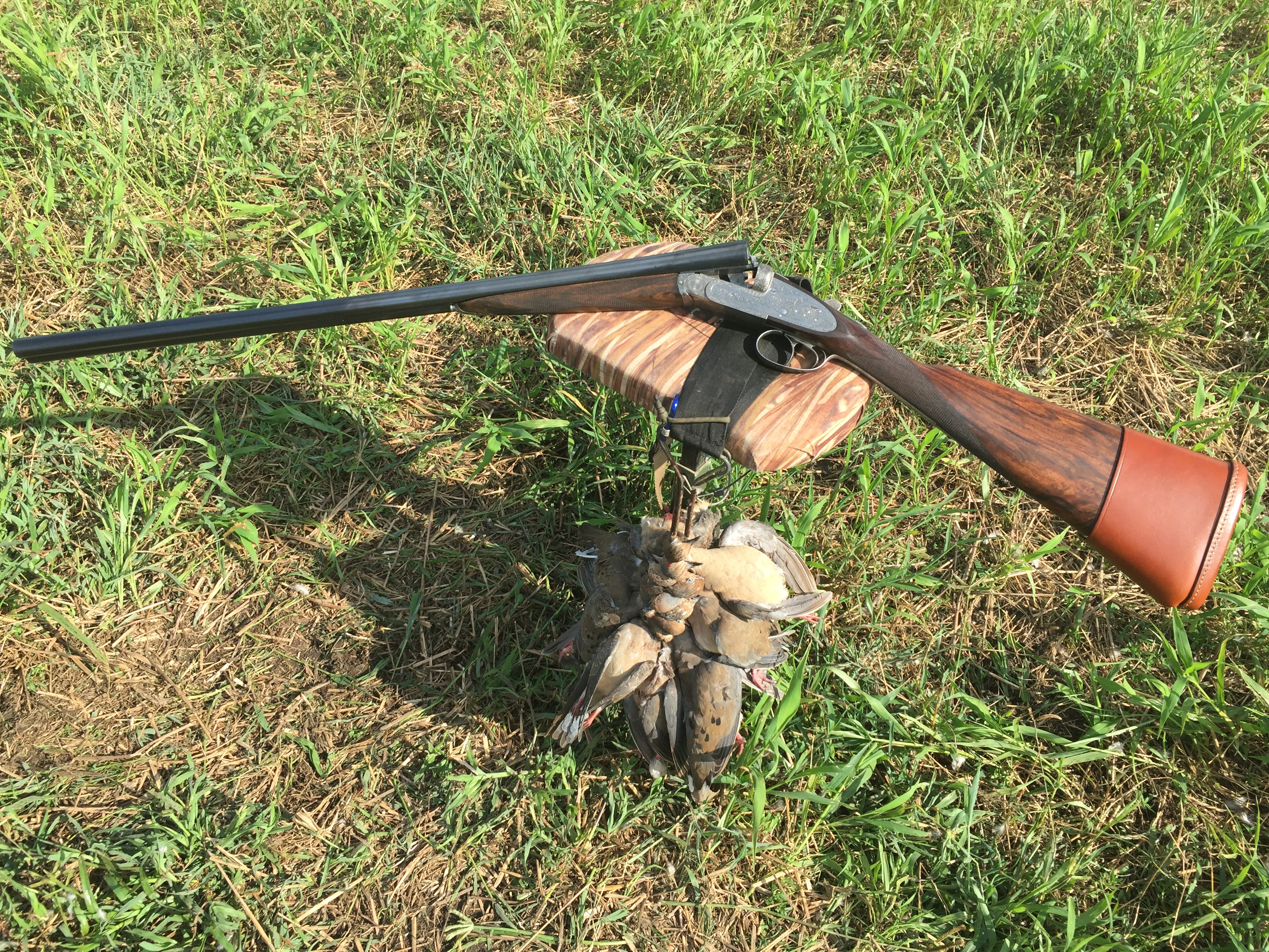 Doves with a August LeBeau 16!