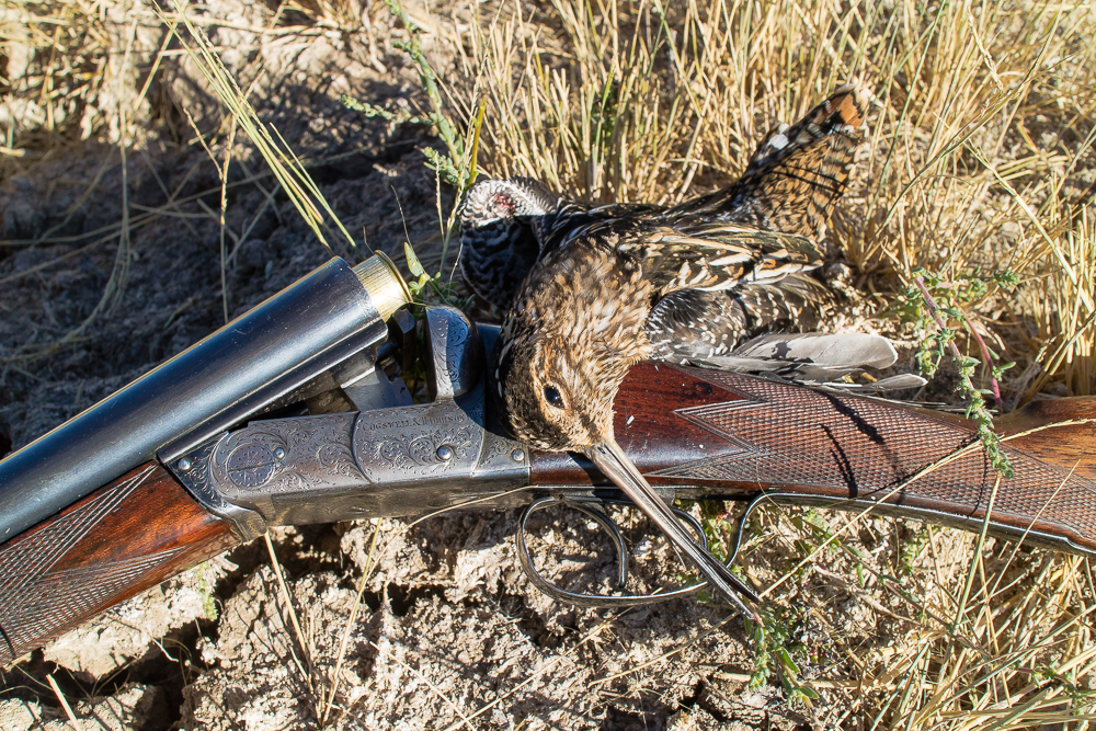 Cogswell & Harrison 16 Snipe